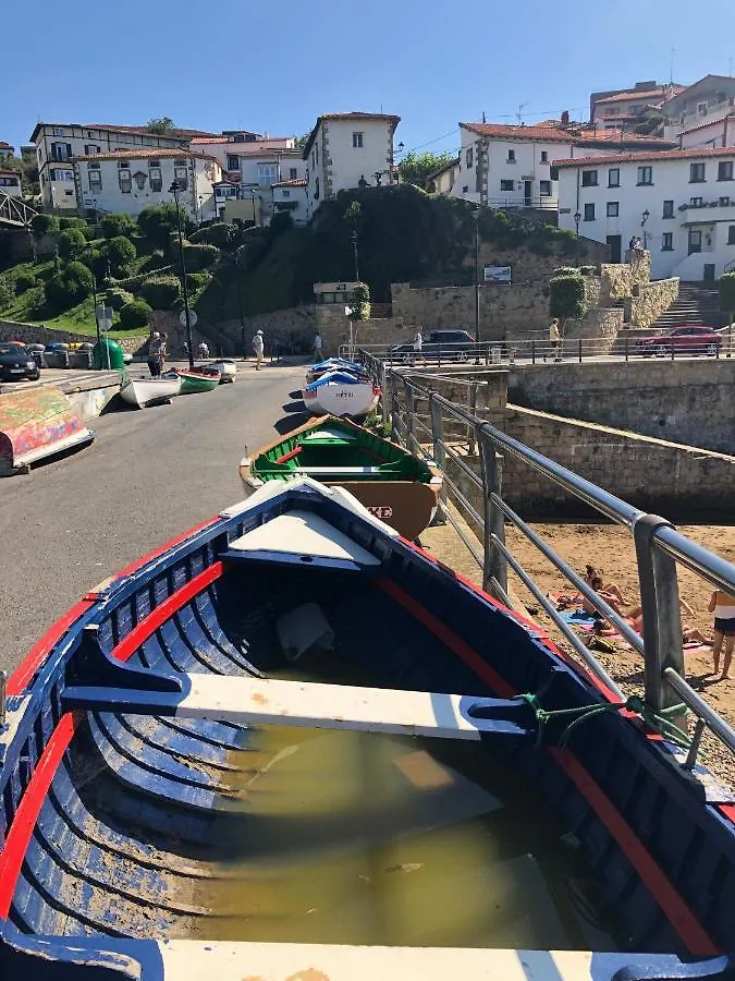 Estudio Independiente Forget Me Not Getxo