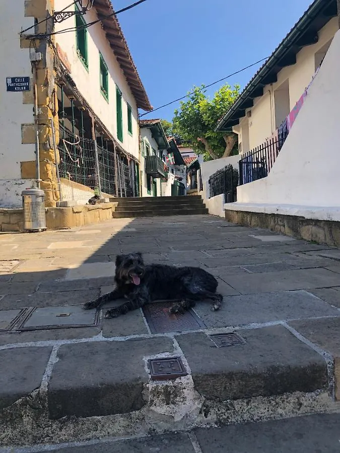 Estudio Independiente Forget Me Not Getxo Homestay