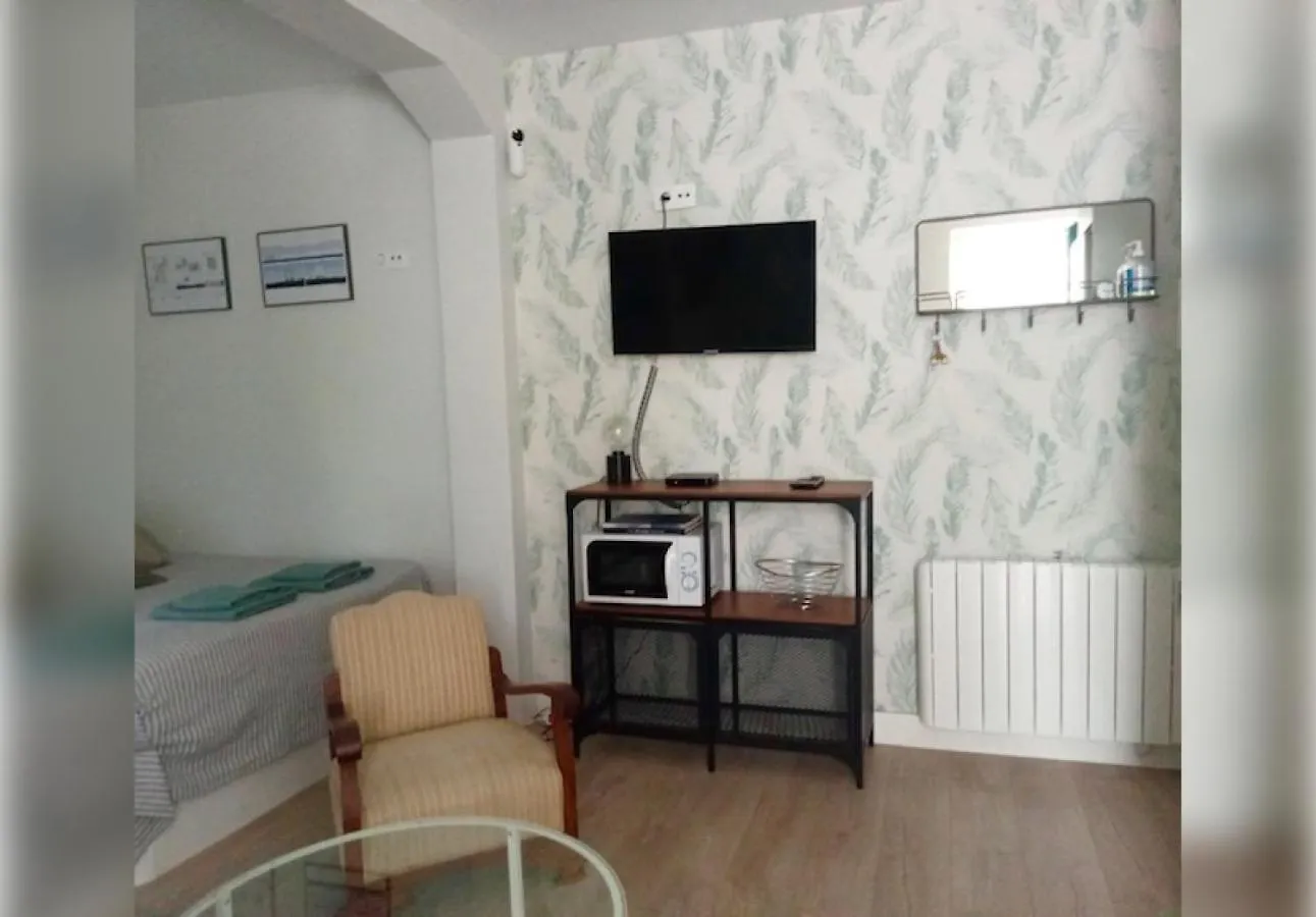 Homestay Estudio Independiente Forget Me Not Getxo Spain